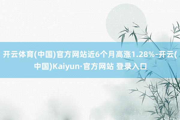 开云体育(中国)官方网站近6个月高涨1.28%-开云(中国)Kaiyun·官方网站 登录入口